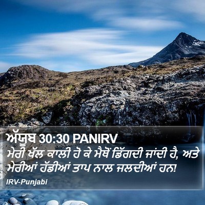 ਅੱਯੂਬ 30:30 PANIRV Bible Verse Image