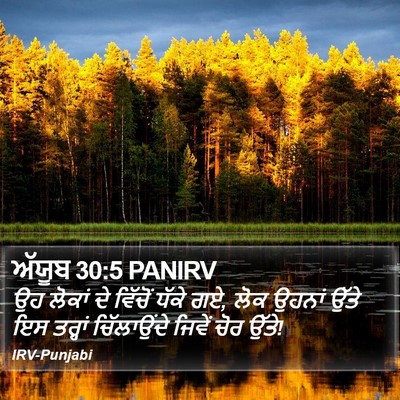 ਅੱਯੂਬ 30:5 PANIRV Bible Verse Image