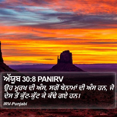 ਅੱਯੂਬ 30:8 PANIRV Bible Verse Image