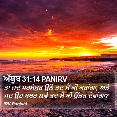 ਅੱਯੂਬ 31:14 PANIRV Bible Verse Image