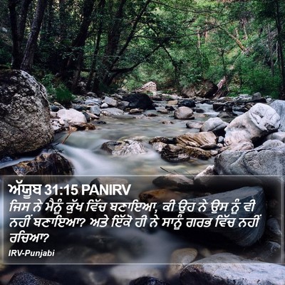 ਅੱਯੂਬ 31:15 PANIRV Bible Verse Image