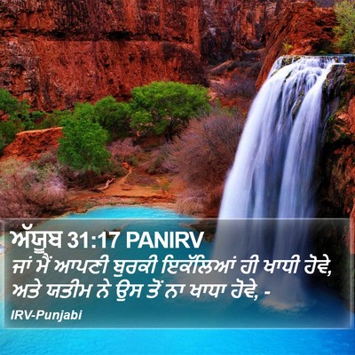 ਅੱਯੂਬ 31:17 PANIRV Bible Verse Image