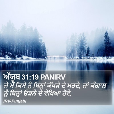 ਅੱਯੂਬ 31:19 PANIRV Bible Verse Image