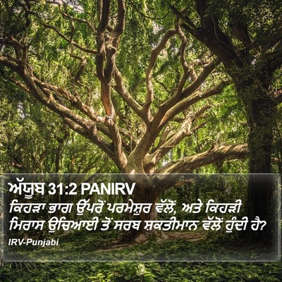 ਅੱਯੂਬ 31:2 PANIRV Bible Verse Image