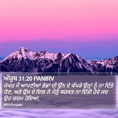 ਅੱਯੂਬ 31:20 PANIRV Bible Verse Image