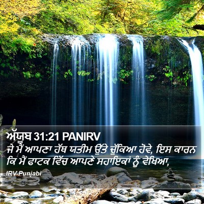 ਅੱਯੂਬ 31:21 PANIRV Bible Verse Image