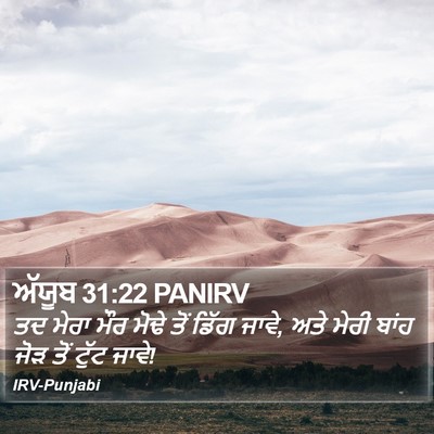 ਅੱਯੂਬ 31:22 PANIRV Bible Verse Image