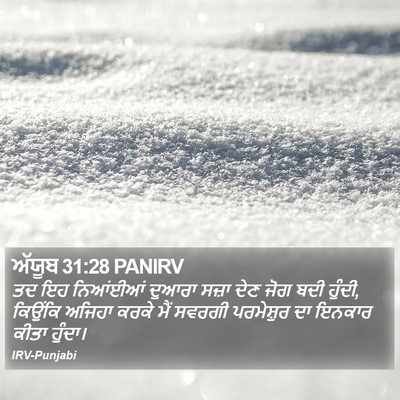 ਅੱਯੂਬ 31:28 PANIRV Bible Verse Image