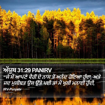 ਅੱਯੂਬ 31:29 PANIRV Bible Verse Image