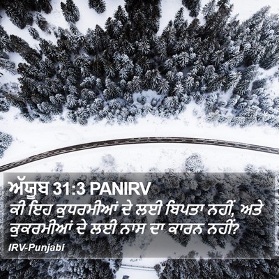 ਅੱਯੂਬ 31:3 PANIRV Bible Verse Image