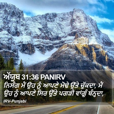 ਅੱਯੂਬ 31:36 PANIRV Bible Verse Image