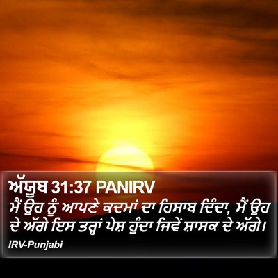ਅੱਯੂਬ 31:37 PANIRV Bible Verse Image