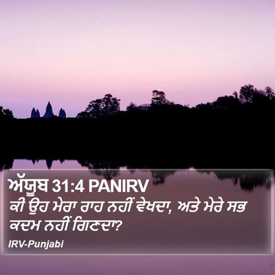 ਅੱਯੂਬ 31:4 PANIRV Bible Verse Image
