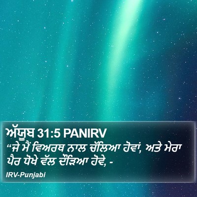 ਅੱਯੂਬ 31:5 PANIRV Bible Verse Image