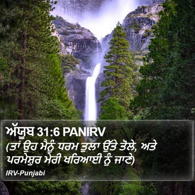 ਅੱਯੂਬ 31:6 PANIRV Bible Verse Image