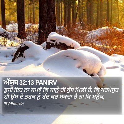 ਅੱਯੂਬ 32:13 PANIRV Bible Verse Image