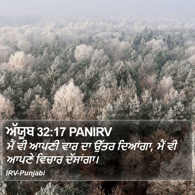 ਅੱਯੂਬ 32:17 PANIRV Bible Verse Image