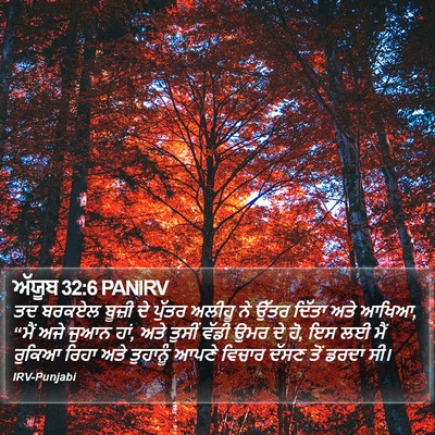 ਅੱਯੂਬ 32:6 PANIRV Bible Verse Image