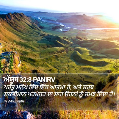 ਅੱਯੂਬ 32:8 PANIRV Bible Verse Image
