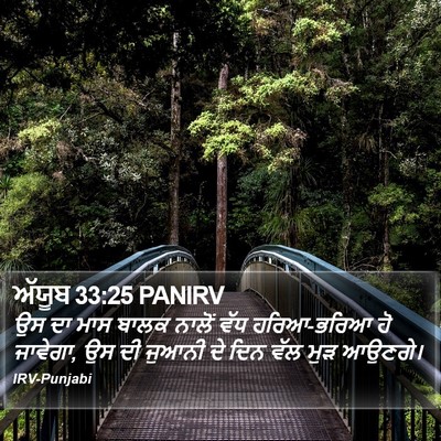 ਅੱਯੂਬ 33:25 PANIRV Bible Verse Image