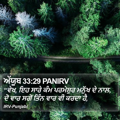 ਅੱਯੂਬ 33:29 PANIRV Bible Verse Image