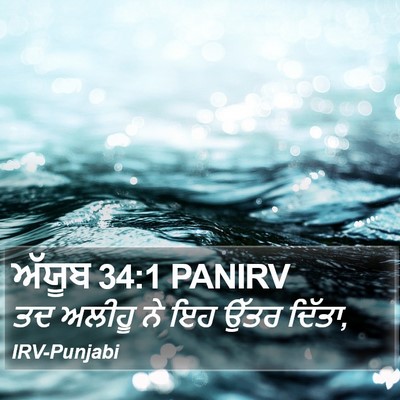 ਅੱਯੂਬ 34:1 PANIRV Bible Verse Image