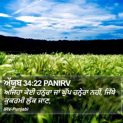 ਅੱਯੂਬ 34:22 PANIRV Bible Verse Image