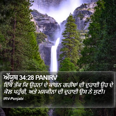 ਅੱਯੂਬ 34:28 PANIRV Bible Verse Image