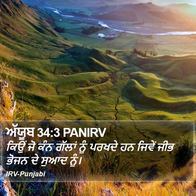 ਅੱਯੂਬ 34:3 PANIRV Bible Verse Image