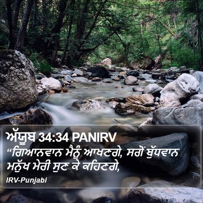 ਅੱਯੂਬ 34:34 PANIRV Bible Verse Image