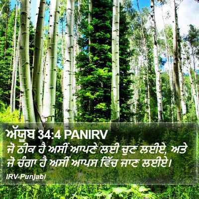 ਅੱਯੂਬ 34:4 PANIRV Bible Verse Image