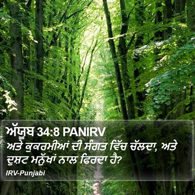 ਅੱਯੂਬ 34:8 PANIRV Bible Verse Image