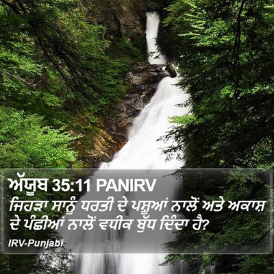 ਅੱਯੂਬ 35:11 PANIRV Bible Verse Image