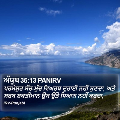 ਅੱਯੂਬ 35:13 PANIRV Bible Verse Image