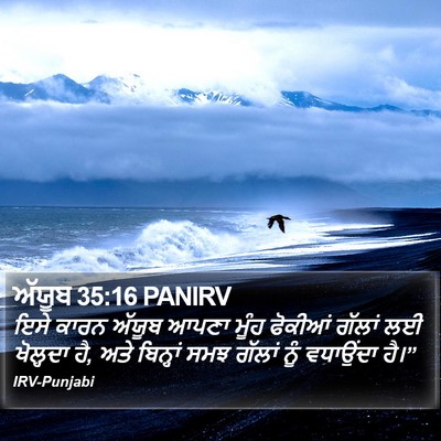 ਅੱਯੂਬ 35:16 PANIRV Bible Verse Image