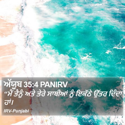 ਅੱਯੂਬ 35:4 PANIRV Bible Verse Image
