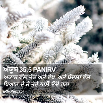 ਅੱਯੂਬ 35:5 PANIRV Bible Verse Image