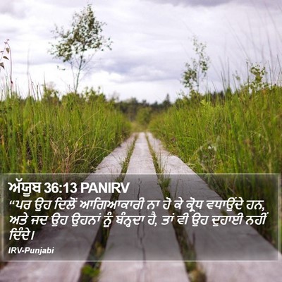 ਅੱਯੂਬ 36:13 PANIRV Bible Verse Image