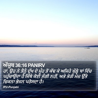 ਅੱਯੂਬ 36:16 PANIRV Bible Verse Image