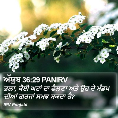 ਅੱਯੂਬ 36:29 PANIRV Bible Verse Image