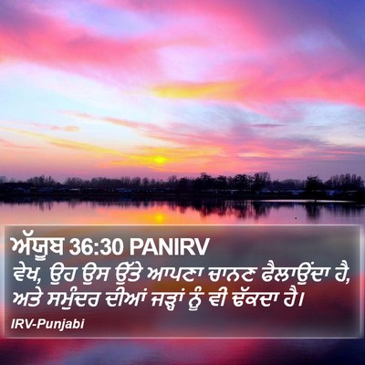 ਅੱਯੂਬ 36:30 PANIRV Bible Verse Image