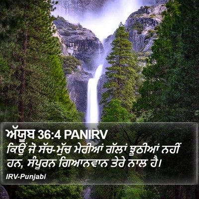 ਅੱਯੂਬ 36:4 PANIRV Bible Verse Image