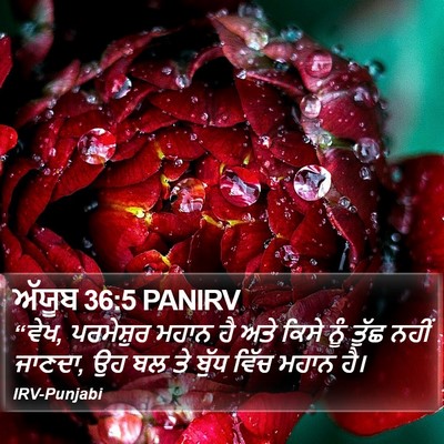ਅੱਯੂਬ 36:5 PANIRV Bible Verse Image