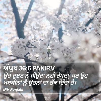 ਅੱਯੂਬ 36:6 PANIRV Bible Verse Image