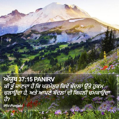 ਅੱਯੂਬ 37:15 PANIRV Bible Verse Image