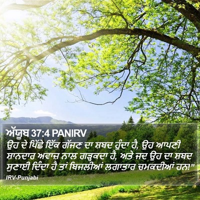 ਅੱਯੂਬ 37:4 PANIRV Bible Verse Image
