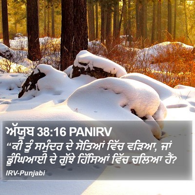 ਅੱਯੂਬ 38:16 PANIRV Bible Verse Image