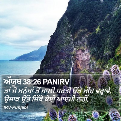 ਅੱਯੂਬ 38:26 PANIRV Bible Verse Image
