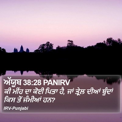 ਅੱਯੂਬ 38:28 PANIRV Bible Verse Image
