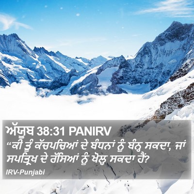 ਅੱਯੂਬ 38:31 PANIRV Bible Verse Image